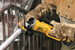 Фото 2 - Аккумуляторная болгарка  DeWalt DCG 412, круг 125мм